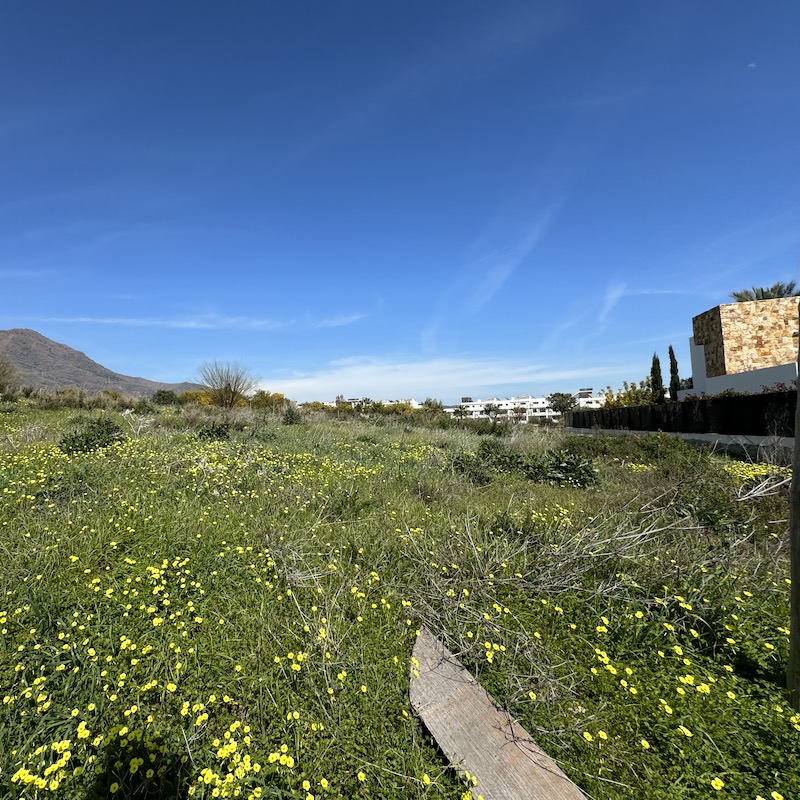 Vista de terreno largo