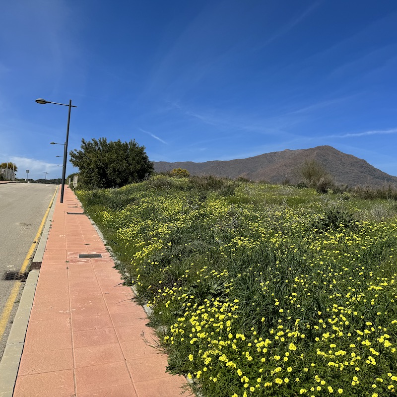 Vista de terreno marbella